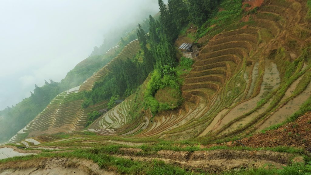 Longji Rice Terraces, Guangxi, China - My Daydreams